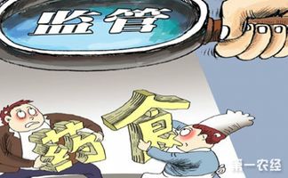 規(guī)范網(wǎng)絡食品經營行為，支持互聯(lián)網(wǎng)食品安全有序發(fā)展